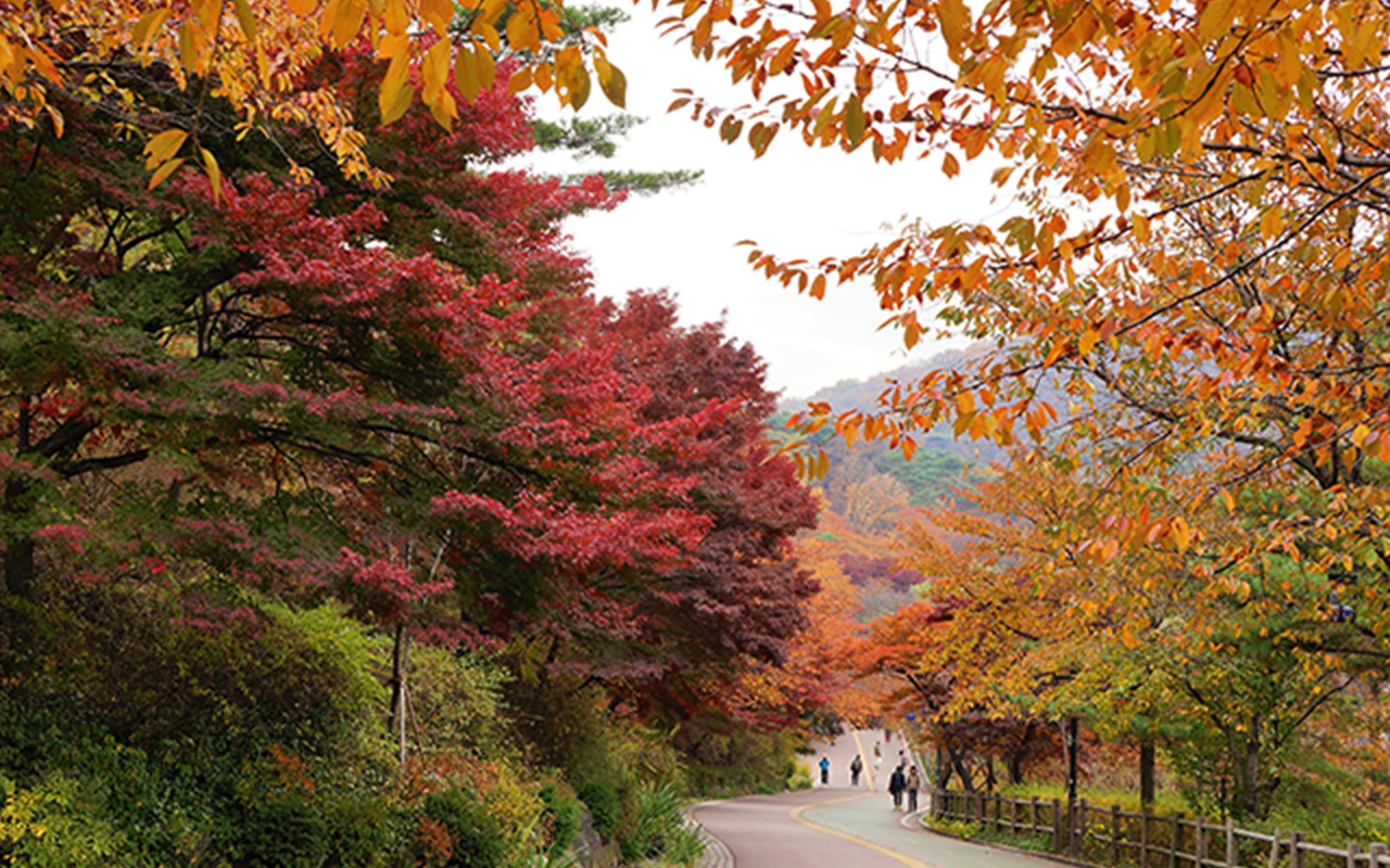 目黒終活コラム目黒さんぽ翡翠原石館
