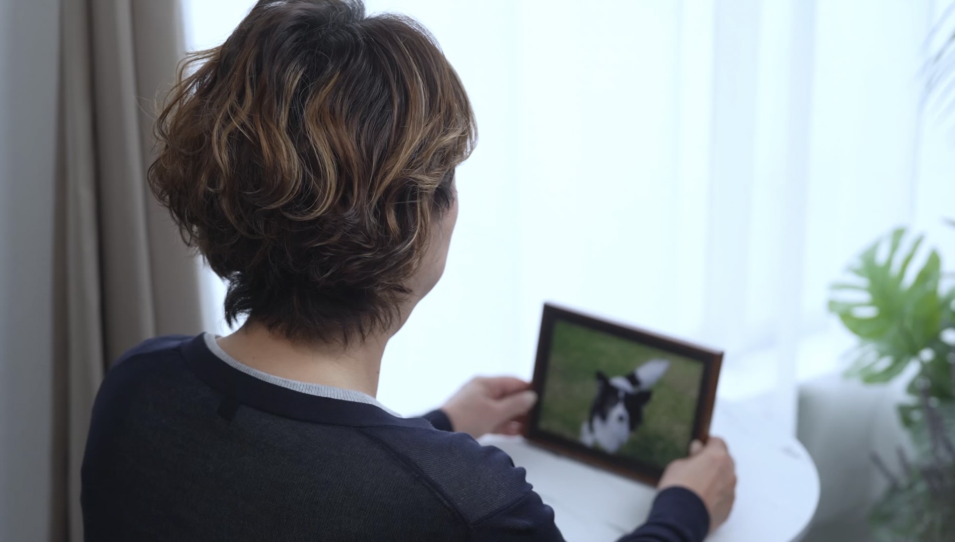 ペットの写真を見て想いを馳せる様子